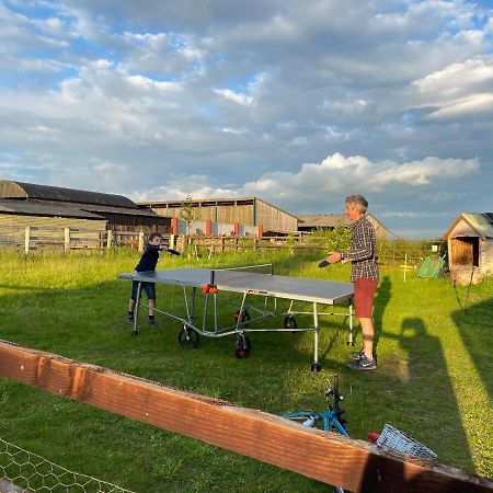 Rew Farm Country & Equestrian Accommodation - Sunrise Lodge 梅尔克舍姆 外观 照片