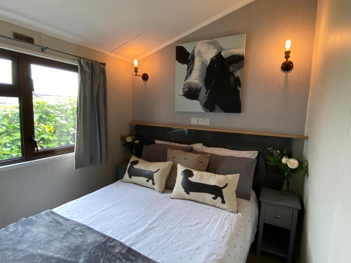 Rew Farm Country & Equestrian Accommodation - Sunrise Lodge 梅尔克舍姆 外观 照片
