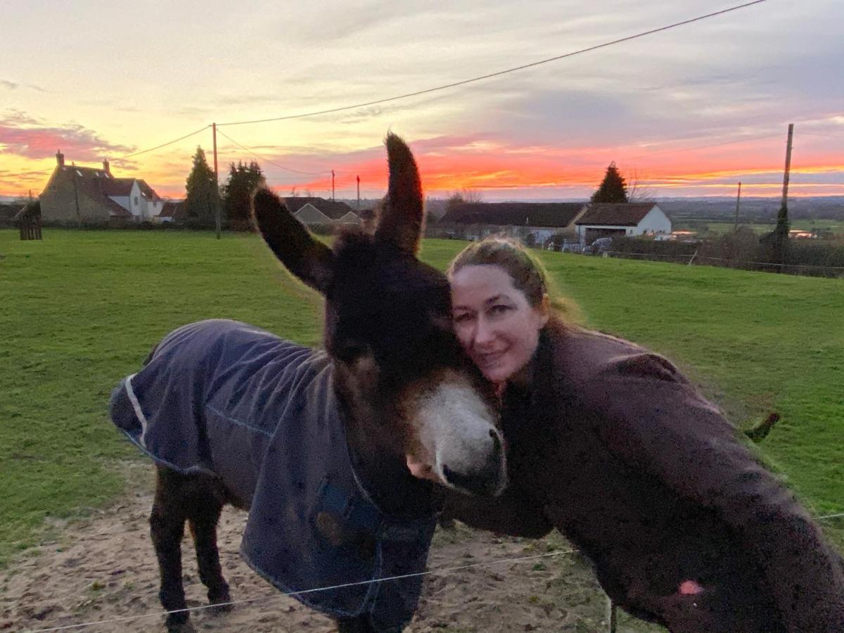 Rew Farm Country & Equestrian Accommodation - Sunrise Lodge 梅尔克舍姆 外观 照片
