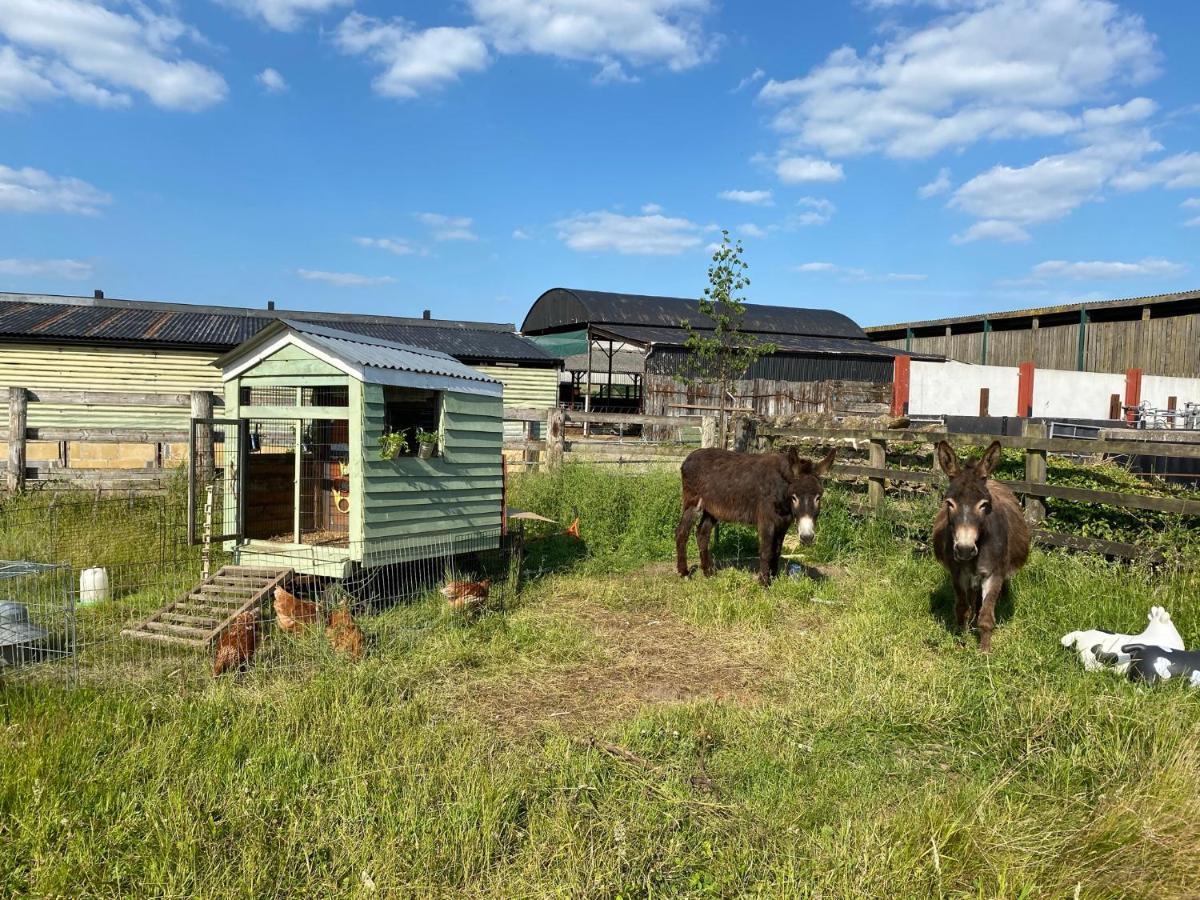 Rew Farm Country & Equestrian Accommodation - Sunrise Lodge 梅尔克舍姆 外观 照片