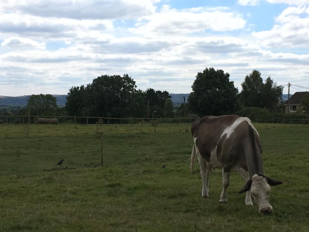 Rew Farm Country & Equestrian Accommodation - Sunrise Lodge 梅尔克舍姆 外观 照片