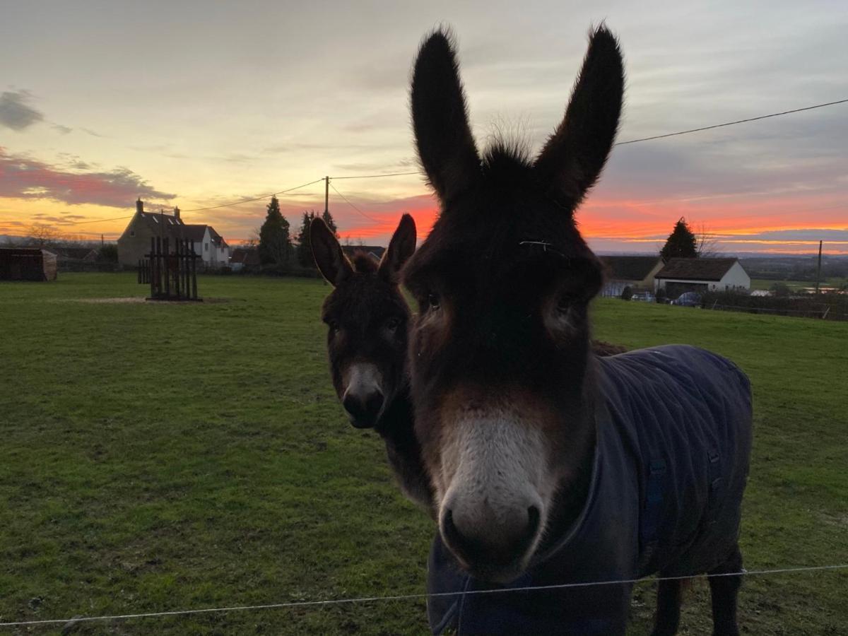 Rew Farm Country & Equestrian Accommodation - Sunrise Lodge 梅尔克舍姆 外观 照片
