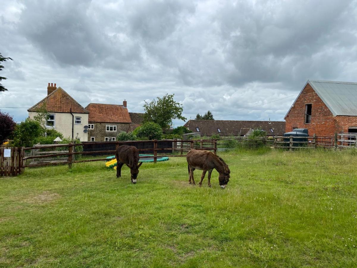 Rew Farm Country & Equestrian Accommodation - Sunrise Lodge 梅尔克舍姆 外观 照片