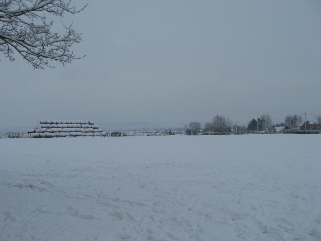 Rew Farm Country & Equestrian Accommodation - Sunrise Lodge 梅尔克舍姆 外观 照片
